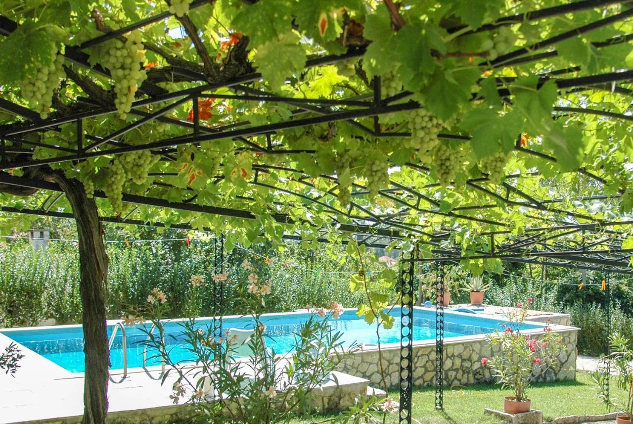 Villa Regina Serafina Baltjik Exteriör bild